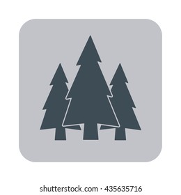 flat icon Fir Trees 