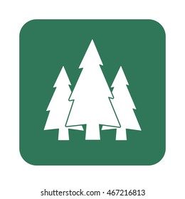 flat icon  Fir Trees 