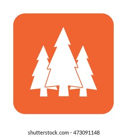 flat icon  Fir Trees 