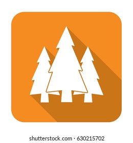 flat icon  Fir Trees 