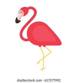 flat icon flamingo