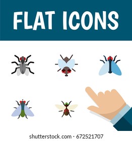 Flat Icon Fly Set Of Bluebottle, Fly, Housefly And Other Vector Objects. Also Includes Dung, Gnat, Mosquito Elements.