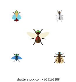 Flat Icon Fly Set Of Dung, Tiny, Bluebottle And Other Vector Objects. Also Includes Fly, Insect, Hum Elements.