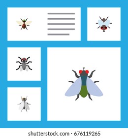 Flat Icon Fly Set Of Gnat, Bluebottle, Buzz And Other Vector Objects. Also Includes Hum, Insect, Gnat Elements.