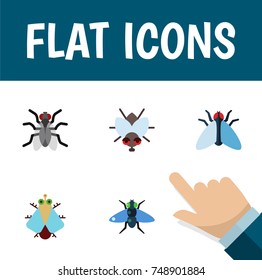 Flat Icon Fly Set Of Gnat, Housefly, Buzz And Other Vector Objects. Also Includes Housefly, Bluebottle, Dung Elements.