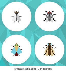 Flat Icon Fly Set Of Hum, Mosquito, Tiny And Other Vector Objects. Also Includes Fly, Insect, Hum Elements.