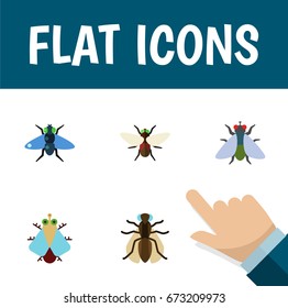 Flat Icon Fly Set Of Fly, Mosquito, Bluebottle And Other Vector Objects. Also Includes Hum, Fly, Buzz Elements.