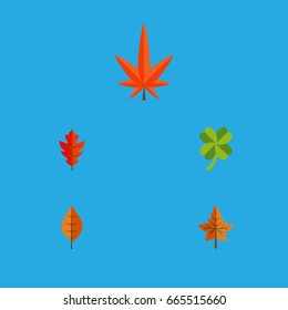 Flat Icon Foliage Set Of Alder, Aspen, Foliage And Other Vector Objects. Also Includes Linden, Aspen, Alder Elements.