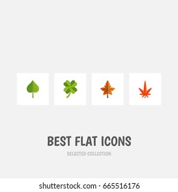 Flat Icon Foliage Set Of Aspen, Alder, Leafage And Other Vector Objects. Also Includes Alder, Aspen, Leaf Elements.