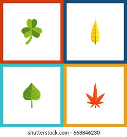 Flat Icon Foliage Set Of Aspen, Hickory, Maple And Other Vector Objects. Also Includes Aspen, Hickory, Oaken Elements.
