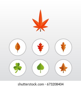 Flat Icon Foliage Set Of Aspen, Alder, Leaf And Other Vector Objects. Also Includes Foliage, Hickory, Frond Elements.