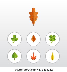 Flat Icon Foliage Set Of Aspen, Hickory, Maple And Other Vector Objects. Also Includes Oaken, Alder, Leafage Elements.