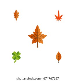 Flat Icon Foliage Set Of Aspen, Alder, Foliage And Other Vector Objects. Also Includes Frond, Hickory, Linden Elements.