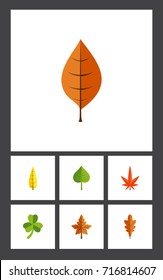 Flat Icon Foliage Set Of Aspen, Leaf, Hickory And Other Vector Objects. Also Includes Alder, Hickory, Foliage Elements.