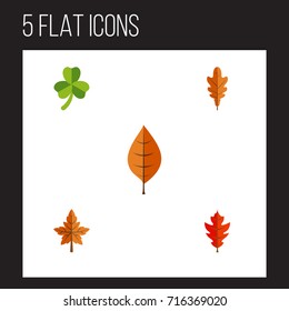 Flat Icon Foliage Set Of Frond, Foliage, Linden And Other Vector Objects. Also Includes Leafage, Frond, Aspen Elements.