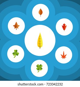 Flat Icon Foliage Set Of Frond, Foliage, Aspen And Other Vector Objects. Also Includes Alder, Leaf, Frond Elements.