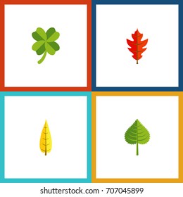 Flat Icon Foliage Set Of Hickory, Frond, Maple And Other Vector Objects. Also Includes Maple, Linden, Oaken Elements.