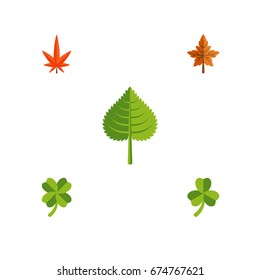 Flat Icon Foliage Set Of Leafage, Alder, Aspen And Other Vector Objects. Also Includes Alder, Hickory, Foliage Elements.