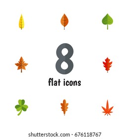 Flat Icon Foliage Set Of Linden, Frond, Alder And Other Vector Objects. Also Includes Maple, Oaken, Alder Elements.