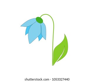 Flat icon of a forest flower (snowdrop). Vector illustration.