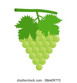 Flat icon green grape with leaves. Vector illustration.