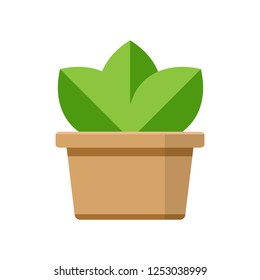 flat icon green leaf tree in brown pot planter
