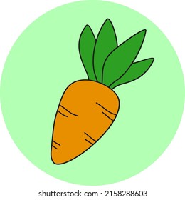 flat icon healthy food carrot vector illustration