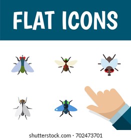 Flat Icon Housefly Set Of Bluebottle, Dung, Hum And Other Vector Objects. Also Includes Bluebottle, Insect, Hum Elements.