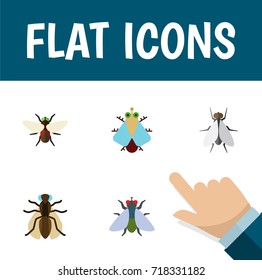 Flat Icon Housefly Set Of Bluebottle, Tiny, Fly And Other Vector Objects. 
