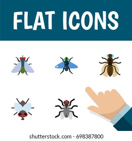 Flat Icon Housefly Set Of Fly, Gnat, Dung And Other Vector Objects. Also Includes Buzz, Hum, Mosquito Elements.