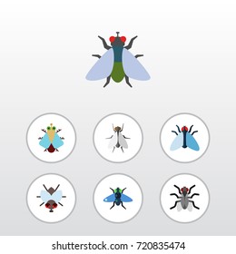 Flat Icon Housefly Set Of Fly, Tiny, Hum And Other Vector Objects. Also Includes Bluebottle, Housefly, Buzz Elements.