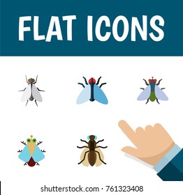 Flat Icon Housefly Set Of Fly, Tiny, Housefly And Other Vector Objects. Also Includes Fly, Housefly, Mosquito Elements.