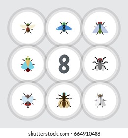 Flat Icon Housefly Set Of Gnat, Fly, Bluebottle And Other Vector Objects. Also Includes Mosquito Elements.