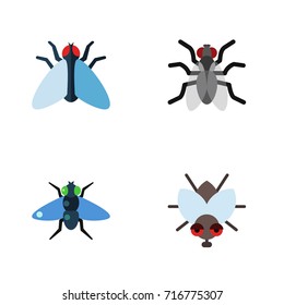 Flat Icon Housefly Set Of Housefly, Gnat, Dung And Other Vector Objects. Also Includes Hum, Mosquito, Insect Elements.