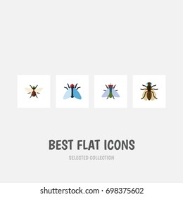 Flat Icon Housefly Set Of Mosquito, Bluebottle, Housefly And Other Vector Objects. Also Includes Insect, Dung, Housefly Elements.