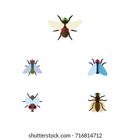 Flat Icon Housefly Set Of Mosquito, Buzz, Fly And Other Vector Objects. Also Includes Mosquito, Fly, Tiny Elements.