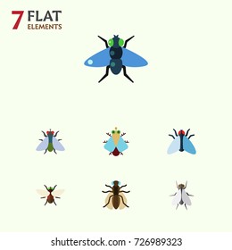 Flat Icon Housefly Set Of Housefly, Mosquito, Dung And Other Vector Objects. Also Includes Bluebottle, Dung, Housefly Elements.