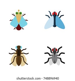 Flat Icon Housefly Set Of Tiny, Housefly, Gnat And Other Vector Objects. Also Includes Gnat, Hum, Tiny Elements.