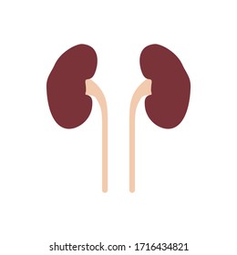 Icono plano riñones aislados en fondo blanco. Órgano humano. Ilustración vectorial.