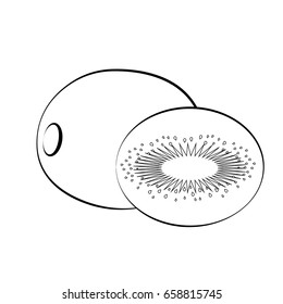 Flat icon kiwi and slice of kiwi. White with black stroke. Kiwi silhouette. Vector illustration.