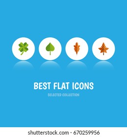 Flat Icon Leaf Set Of Alder, Hickory, Linden And Other Vector Objects. Also Includes Aspen, Leaf, Linden Elements.