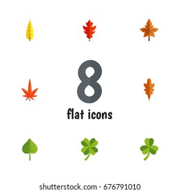 Flat Icon Leaf Set Of Alder, Linden, Hickory And Other Vector Objects. Also Includes Oaken, Hickory, Leafage Elements.