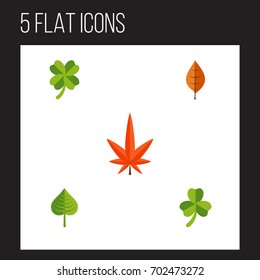 Flat Icon Leaf Set Of Leaf, Leafage, Aspen And Other Vector Objects. Also Includes Leafage, Foliage, Aspen Elements.
