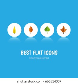 Flat Icon Leaves Set Of Alder, Foliage, Hickory And Other Vector Objects. Also Includes Foliage, Alder, Aspen Elements.
