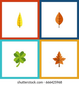 Flat Icon Leaves Set Of Alder, Foliage, Leafage And Other Vector Objects. Also Includes Leaf, Aspen, Oaken Elements.