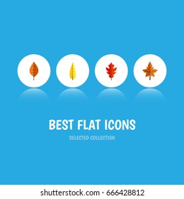 Flat Icon Leaves Set Of Alder, Maple, Foliage And Other Vector Objects. Also Includes Alder, Leaf, Linden Elements.