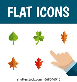 Flat Icon Leaves Set Of Alder, Frond, Leaf And Other Vector Objects. Also Includes Leaf, Leafage, Hickory Elements.