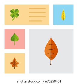 Flat Icon Leaves Set Of Alder, Maple, Hickory And Other Vector Objects. Also Includes Leafage, Maple, Foliage Elements.