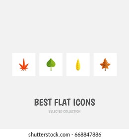 Flat Icon Leaves Set Of Aspen, Alder, Hickory And Other Vector Objects. Also Includes Foliage, Alder, Aspen Elements.