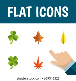 Flat Icon Leaves Set Of Aspen, Alder, Leafage And Other Vector Objects. Also Includes Maple, Foliage, Aspen Elements.